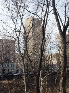 DSC00320.JPG